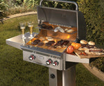 2-Burner In-Ground Natural Gas Grill with Backburner Rotisserie, American Outdoor Grill, "T" Series, 24", 24NGT