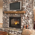 Ascent Multi-View Build-In See Through Gas Fireplace with Log Set, Black, Napoleon, 45", BHD4STN