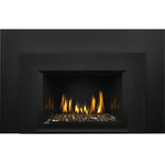 Oakville G3 Gas Fireplace Insert, Natural Gas, Napoleon, 28.63", GDIG3N