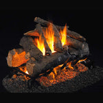 G45 See-Thru Outdoor Gas Log Set W/ Vented Propane Gas Stainless ,24", Real Fyre, G45-2-24-02P