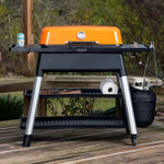Everdure FURNACE Gas Barbeque with Stand (ULPG), Black, E3G3B