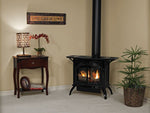 Spirit Stove Direct-Vent Deluxe Cast Iron Stove W/ 26,500 Btu, 30", White Mountain Hearth, DVP30CC30FN