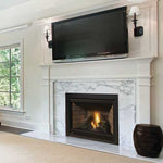 Ascent X Fireplace With Electric Ignition Natural Gas Fireplace - B42NTREA - Napoleon