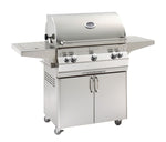 Aurora Freestanding Grill W/ Flush Mount Single Side Burner & Analog Thermometer, Natural Gas , 24", Fire Magic, A430S-8LAN-62